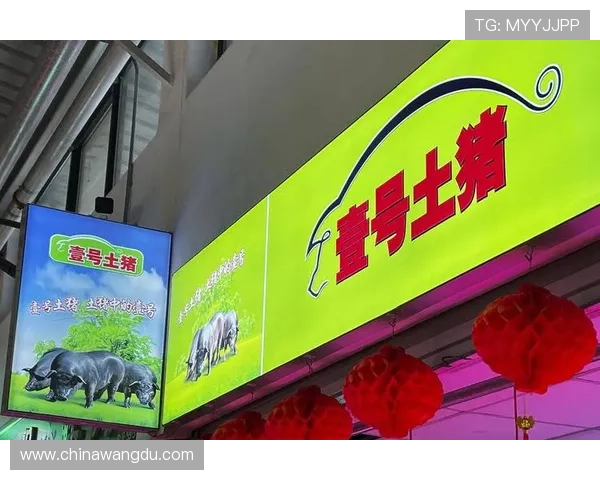 壹号娱乐集团官网：公司新闻动态与行业合作最新资讯